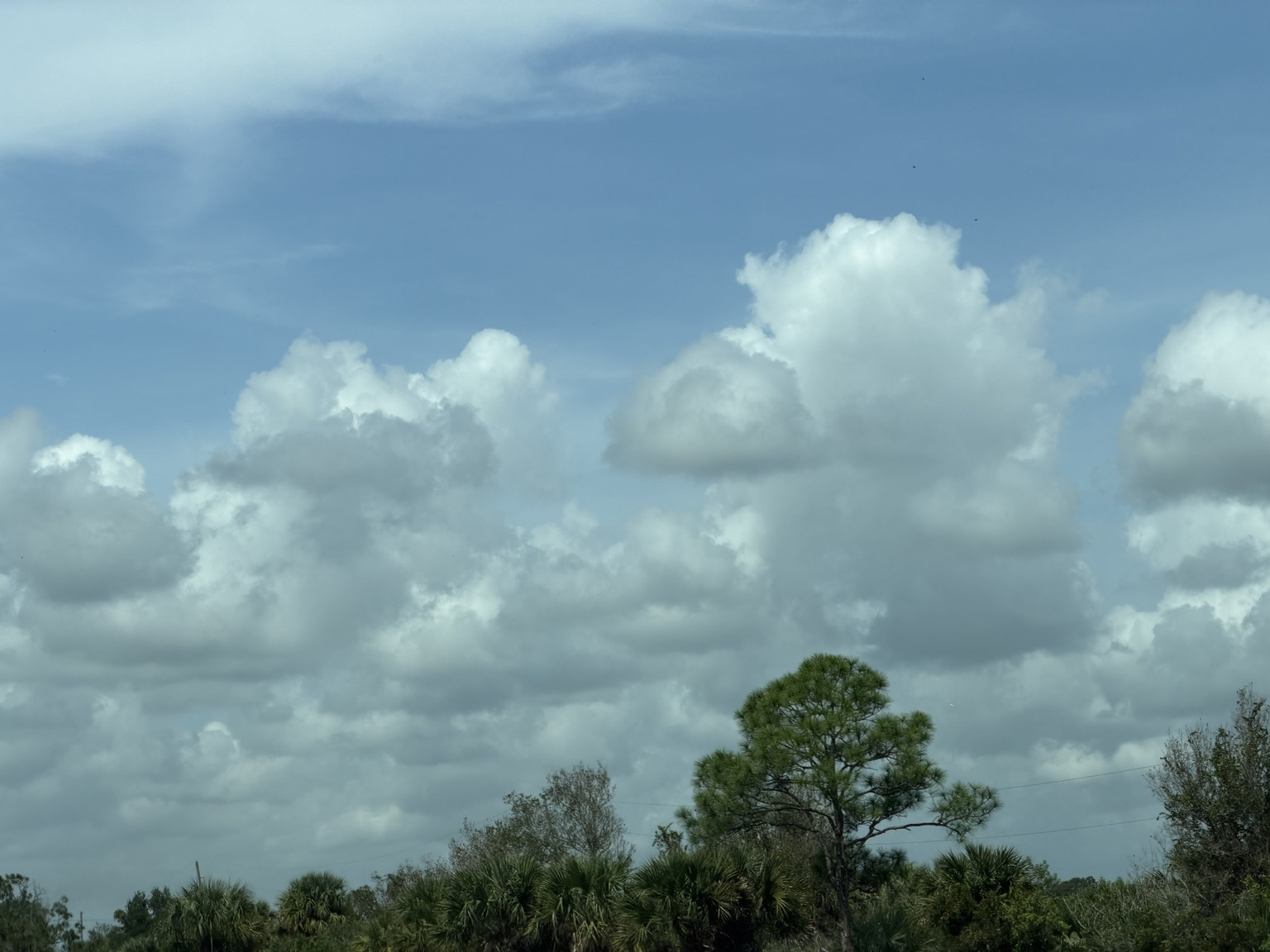 The original roadside photograph: white clouds above trees in a blue sky.